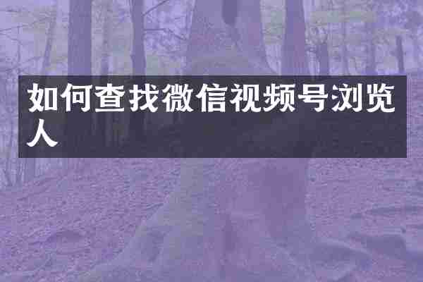 如何查找微信视频号浏览人