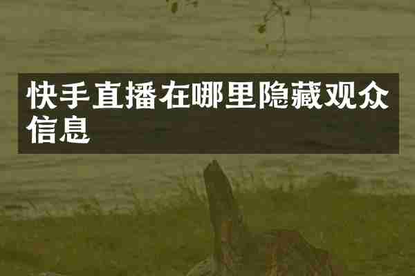 快手直播在哪里隐藏观众信息