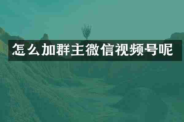 怎么加群主微信视频号呢