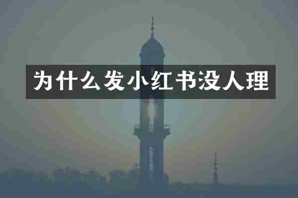 为什么发小红书没人理