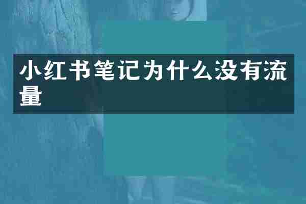 小红书笔记为什么没有流量