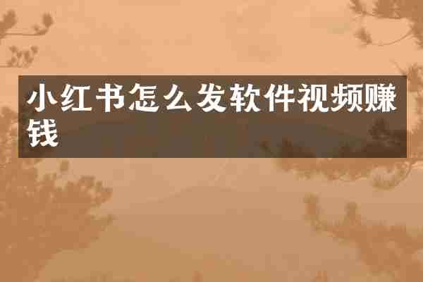 小红书怎么发软件视频赚钱