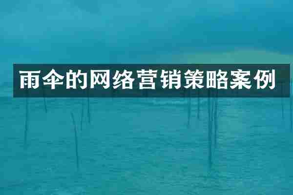 雨伞的网络营销策略案例