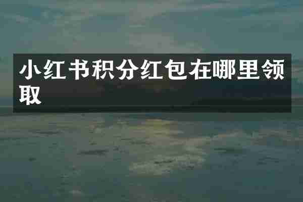 小红书积分红包在哪里领取