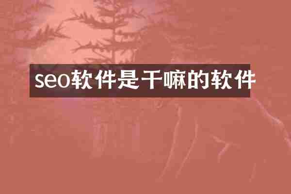 seo软件是干嘛的软件