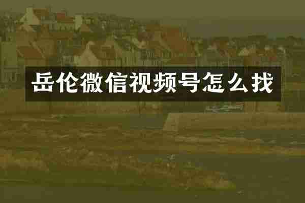 岳伦微信视频号怎么找