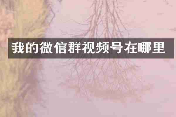 我的微信群视频号在哪里