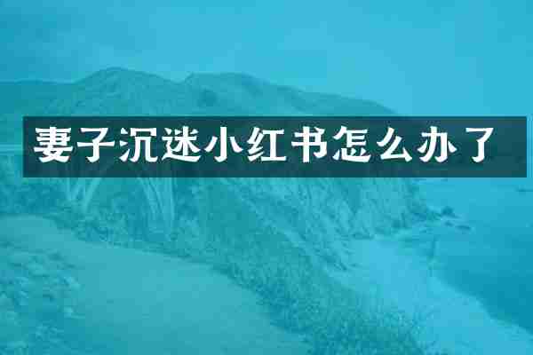 妻子沉迷小红书怎么办了