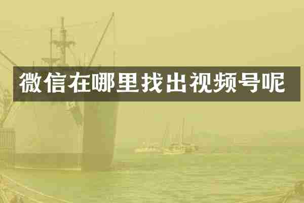 微信在哪里找出视频号呢