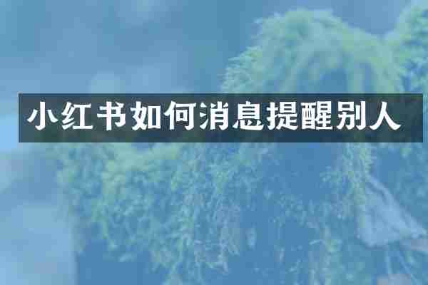 小红书如何消息提醒别人