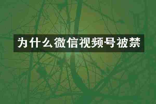 为什么微信视频号被禁