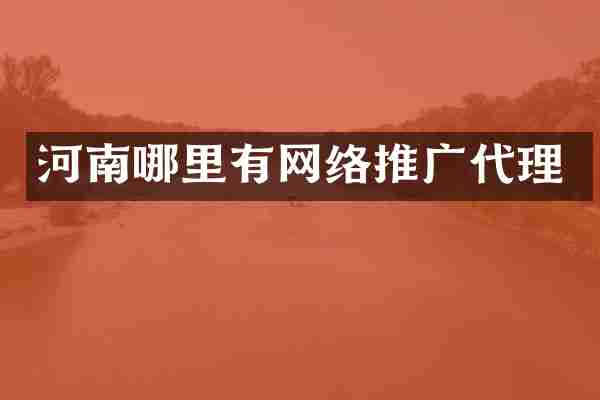 河南哪里有网络推广代理