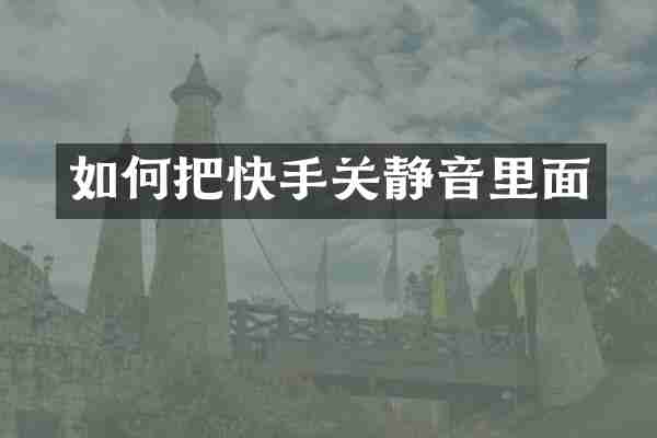 如何把快手关静音里面