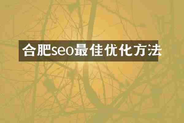 合肥seo最佳优化方法
