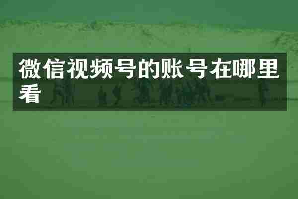 微信视频号的账号在哪里看