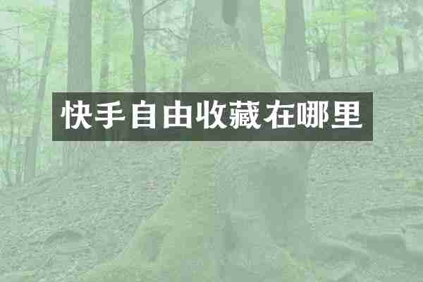 快手自由收藏在哪里