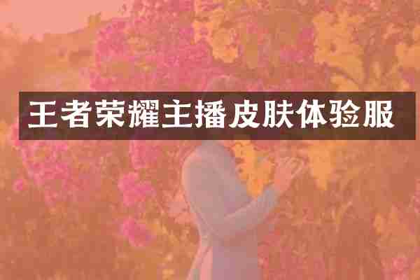 王者荣耀主播皮肤体验服