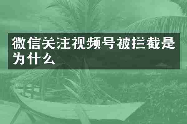 微信关注视频号被拦截是为什么