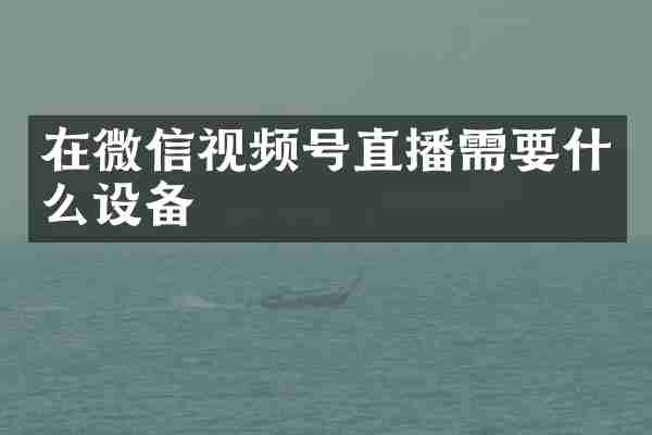 在微信视频号直播需要什么设备