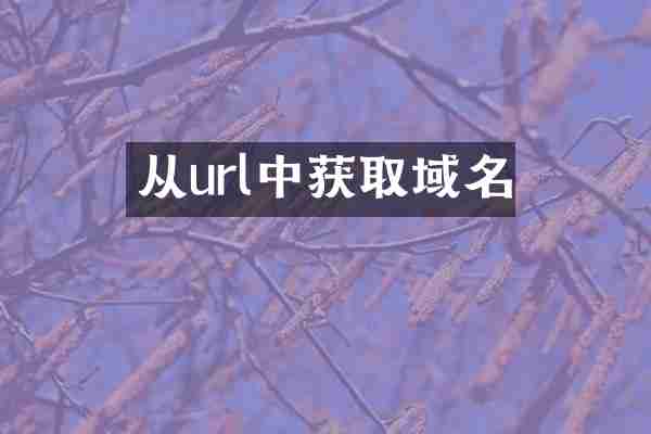 从url中获取域名