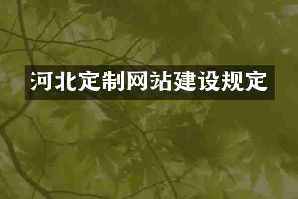 河北定制网站建设规定