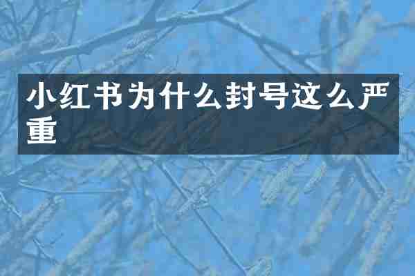 小红书为什么封号这么严重