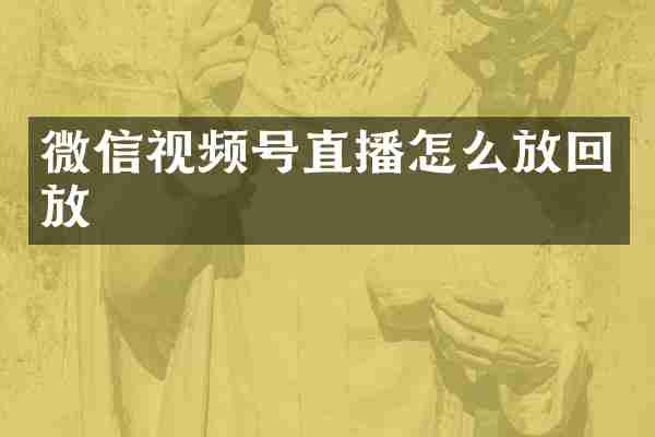 微信视频号直播怎么放回放