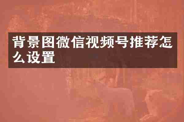 背景图微信视频号推荐怎么设置