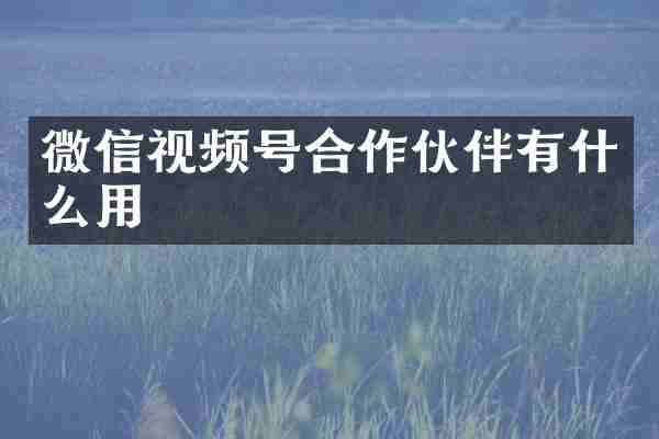 微信视频号合作伙伴有什么用