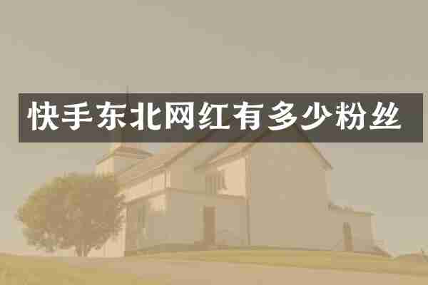 快手东北网红有多少粉丝
