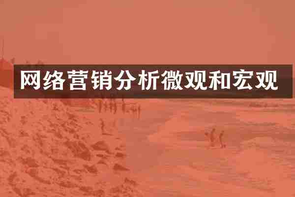 网络营销分析微观和宏观
