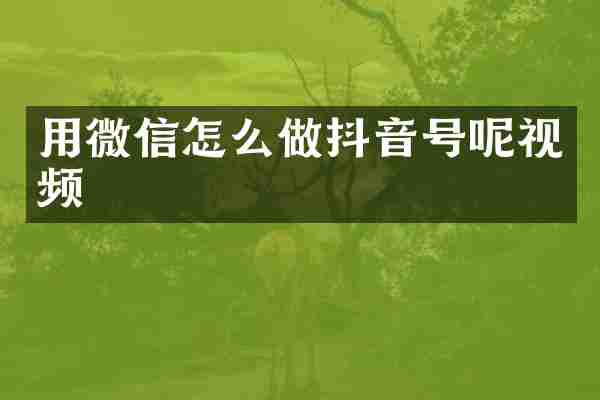 用微信怎么做抖音号呢视频