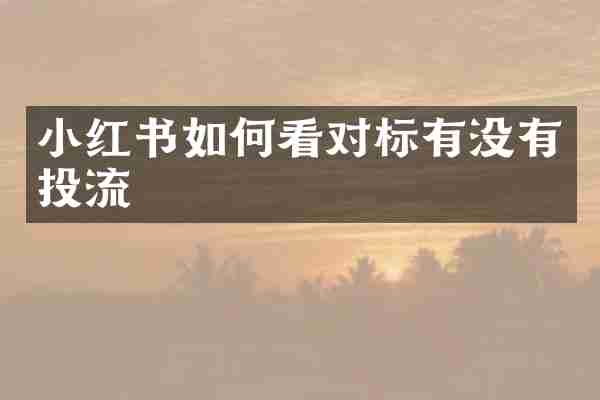 小红书如何看对标有没有投流