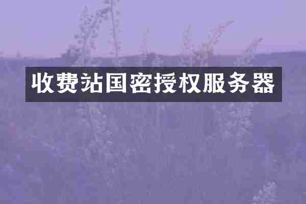 收费站国密授权服务器