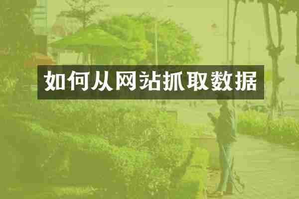 如何从网站抓取数据