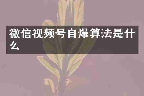 微信视频号自爆算法是什么
