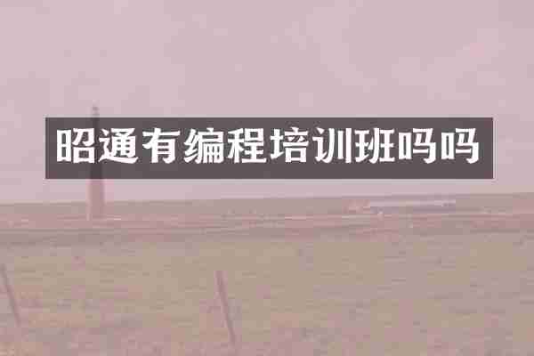 昭通有编程培训班吗吗