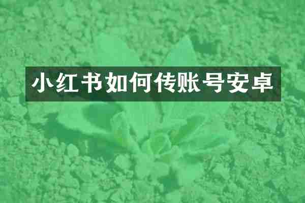 小红书如何传账号安卓