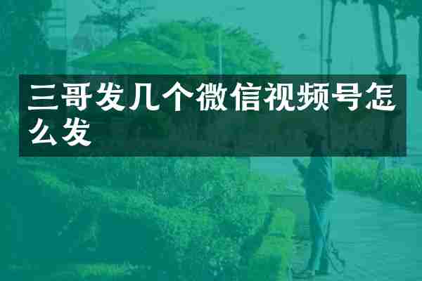 三哥发几个微信视频号怎么发