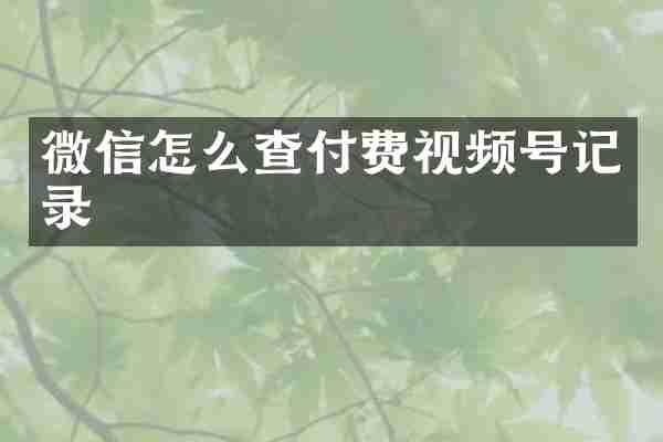 微信怎么查付费视频号记录