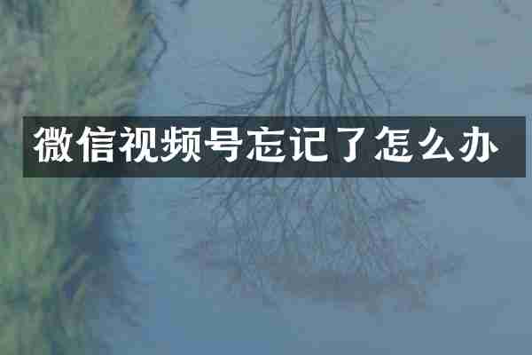 微信视频号忘记了怎么办