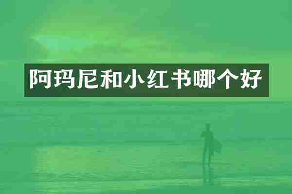 阿玛尼和小红书哪个好