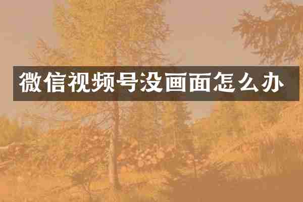 微信视频号没画面怎么办