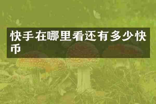 快手在哪里看还有多少快币