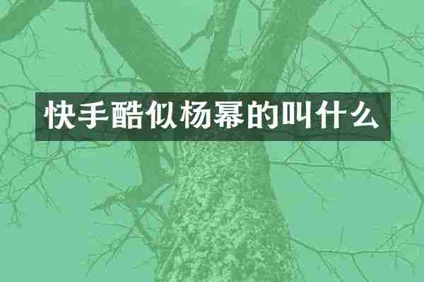 快手酷似杨幂的叫什么
