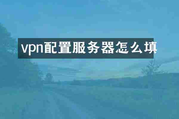 vpn配置服务器怎么填