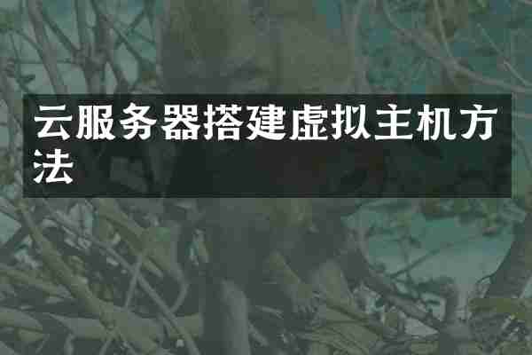 云服务器搭建虚拟主机方法
