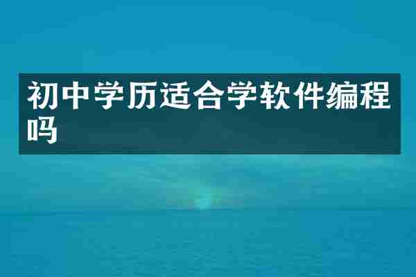 初中学历适合学软件编程吗