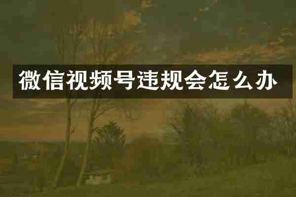 微信视频号违规会怎么办