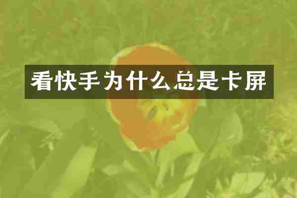 看快手为什么总是卡屏
